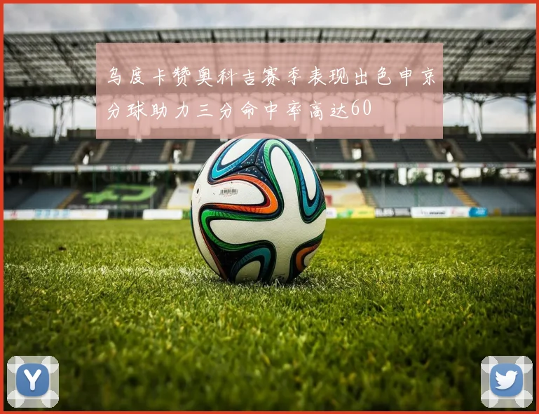 乌度卡赞奥科吉赛季表现出色申京分球助力三分命中率高达60
