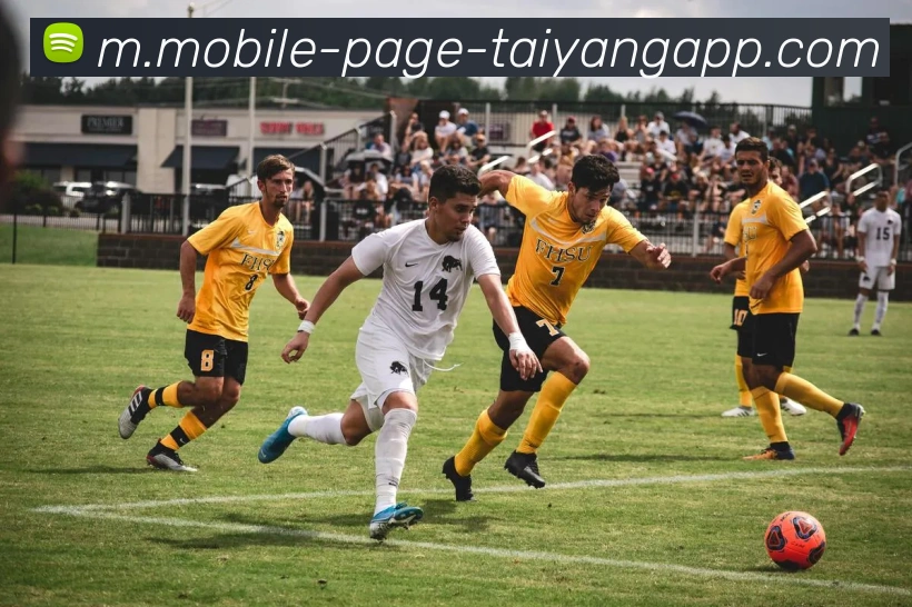 太阳城平台生态图